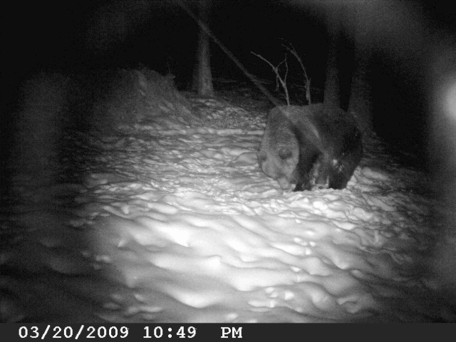 foto Hlídací kamera M1